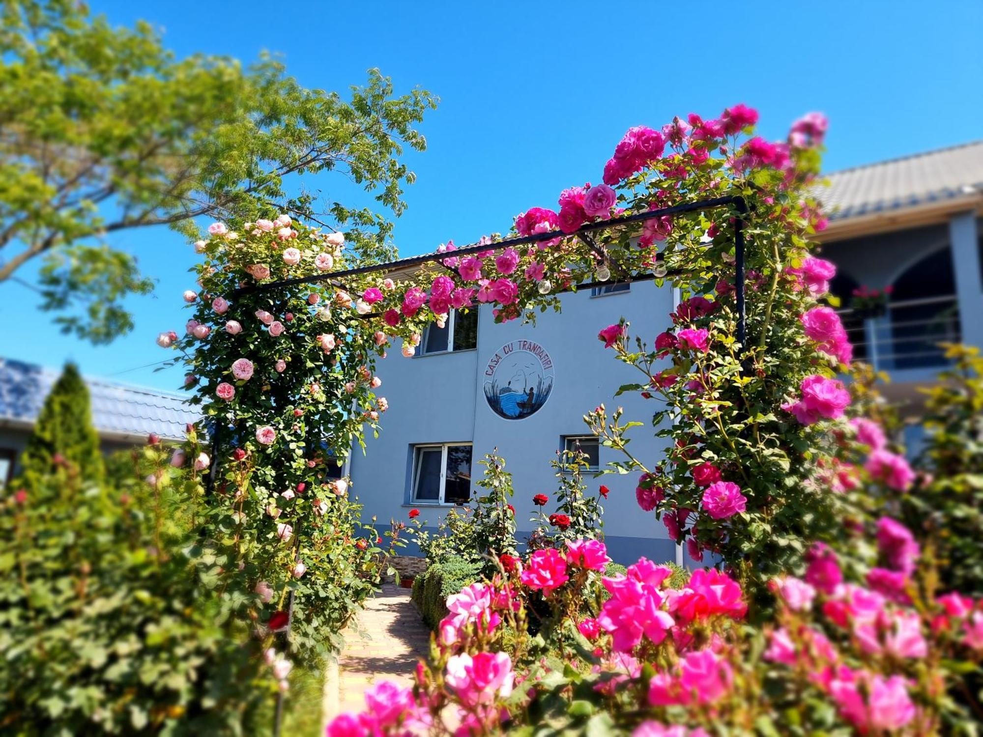 Casa Cu Trandafiri Murighiol Exterior photo
